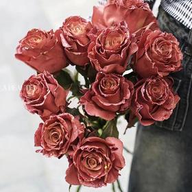 厄瓜多尔染色MISS AUTUMN秋小姐玫瑰10支