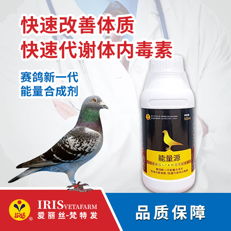 【爱丽丝】能量源500ml