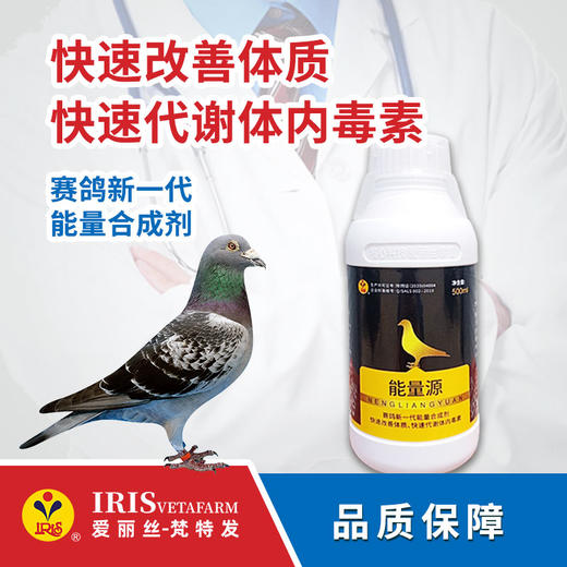 【爱丽丝】能量源500ml 商品图0