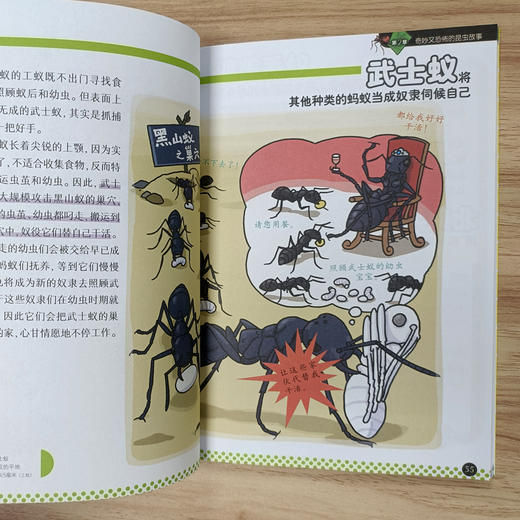 【阳光博客】奇妙的昆虫图鉴   用趣味漫画展现昆虫的神奇生活 商品图6