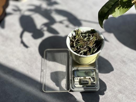 【2023秋白露】阔别1年，那带着花蜜般鲜甜的白露茶带着桂花香来了（60克罐装） 商品图4