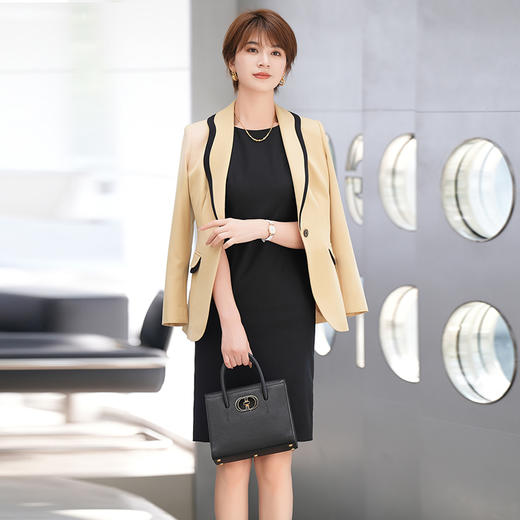 气质职业洋装女秋季新款轻熟风无袖收腰显瘦修身内搭裙子 商品图3