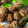 【核薄易取】2025年新货新疆阿克苏温宿185纸皮核桃·探疆人 商品缩略图4