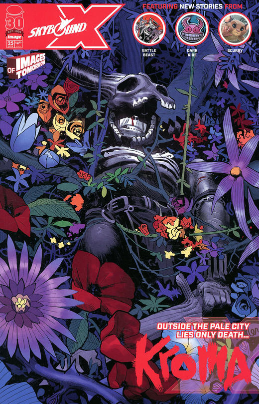 Skybound X 商品图2