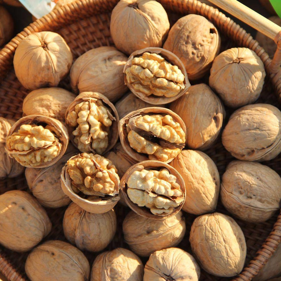 【核薄易取】2025年新货新疆阿克苏温宿185纸皮核桃·探疆人