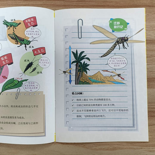 【阳光博客】奇妙的昆虫图鉴   用趣味漫画展现昆虫的神奇生活 商品图10