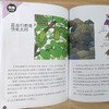 【阳光博客】奇妙的昆虫图鉴   用趣味漫画展现昆虫的神奇生活 商品缩略图9