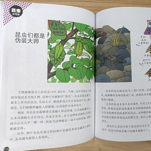 【阳光博客】奇妙的昆虫图鉴   用趣味漫画展现昆虫的神奇生活 商品图9