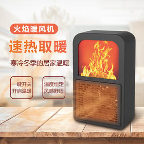 秋冬必备【火焰暖风机】桌面迷你暖风机  3D火焰取暖器   办公室宿舍家用电壁炉
