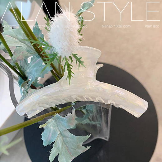 ALBB-韩国france法式醋酸弧形发抓大号抓夹盘发夹鲨鱼夹子女 商品图5