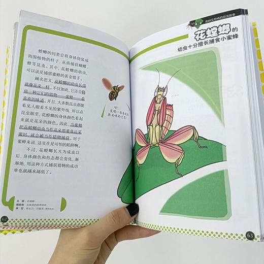 【阳光博客】奇妙的昆虫图鉴   用趣味漫画展现昆虫的神奇生活 商品图4