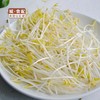 绿豆芽500g/份【GYZH】 商品缩略图0