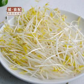 绿豆芽500g/份【GYZH】