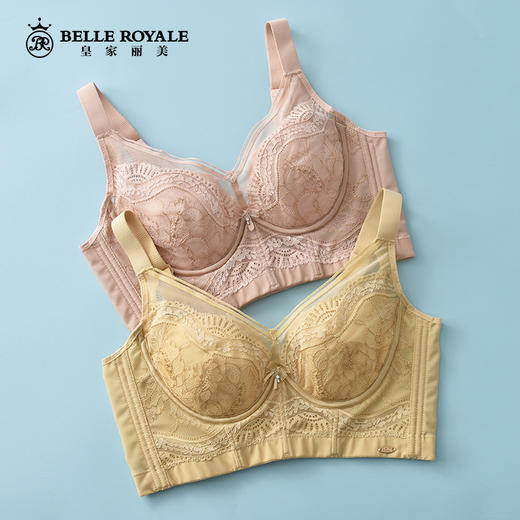 皇家丽美新款调整型文胸大胸显小薄杯记忆软钛圈加宽下扒位香榭之恋系列WJ2309-1 商品图5