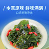 素养生活 有机裙带菜80g 火锅食材高泡发 海产干货烘干海带 海木耳海藻 商品缩略图4