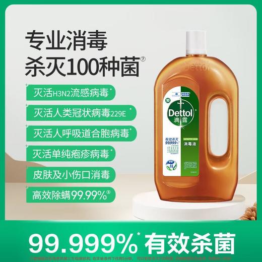 滴露消毒液250ml 商品图1