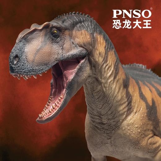 PNSO巨型永川龙大鹏恐龙大王成长陪伴模型76 商品图4