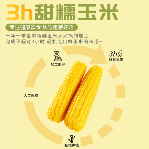 【2023新玉米】溢田东北黄糯玉米200g*8支/袋-HL 商品图3