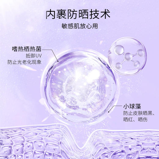 贝露丝 润爽高倍防晒霜 SPF50+    60克 新款 商品图4