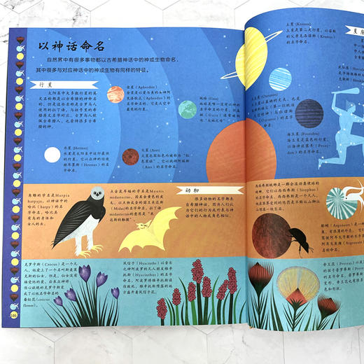 【阳光博客】DK希腊神话，30多个希腊神话，200多张精美插图，7—12岁 商品图7