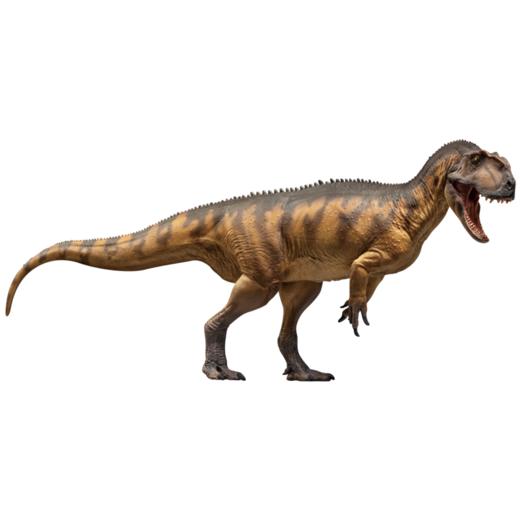 PNSO巨型永川龙大鹏恐龙大王成长陪伴模型76 商品图5