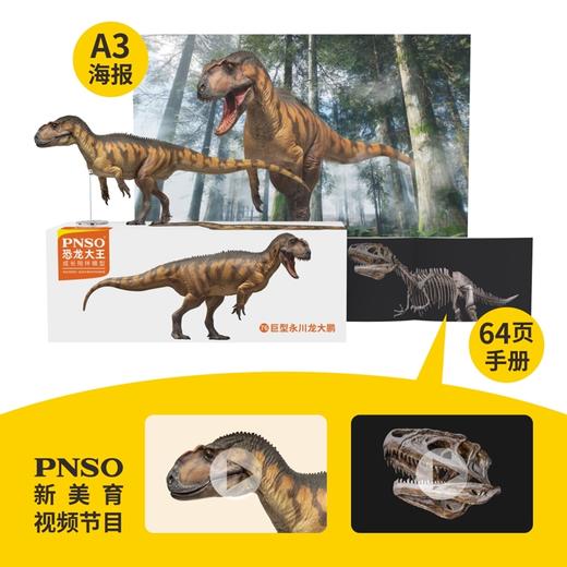 PNSO巨型永川龙大鹏恐龙大王成长陪伴模型76 商品图1