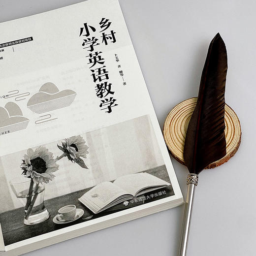 乡村小学英语教学 乡村教师培训丛书 小学英语教育 一线教学实践案例 新基础教育 正版 华东师范大学出版社 商品图6