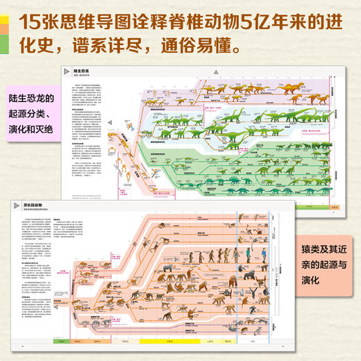 思维导图中的进化简史 7-10岁  15年来对专业科学文献潜心研究所获成果 商品图2