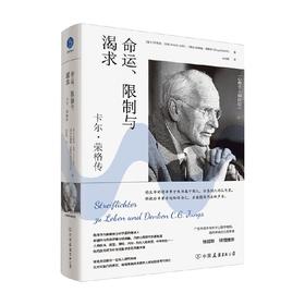 命运 限制与渴求 卡尔 荣格传 安妮拉·杰斐等 著 社会科学