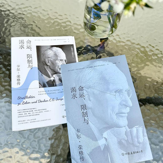 命运 限制与渴求 卡尔 荣格传 安妮拉·杰斐等 著 社会科学 商品图3