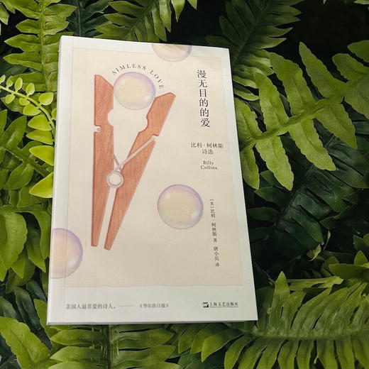 漫无目的的爱 比利 柯林斯诗选 比利·柯林斯 著 诗歌 商品图1