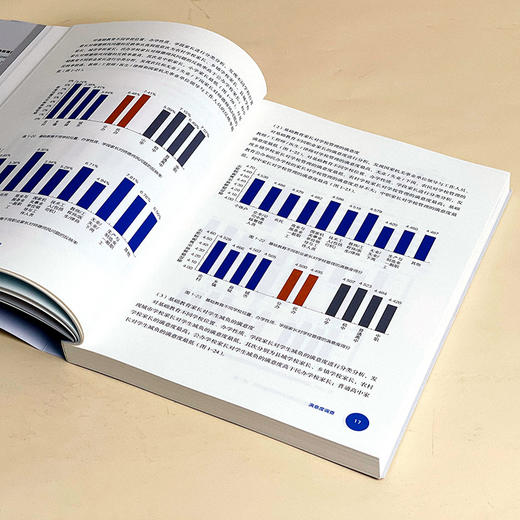 长三角教育现代化监测评估专题研究 第1辑 长三角教育现代化监测评估研究丛书 商品图8