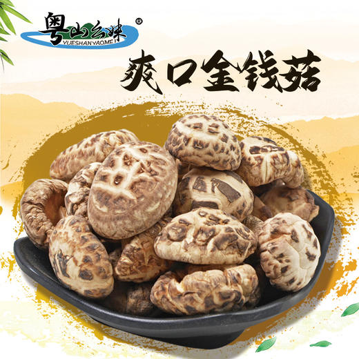 【清远帮扶】清远粤山幺妹 金钱菇 200g 商品图1