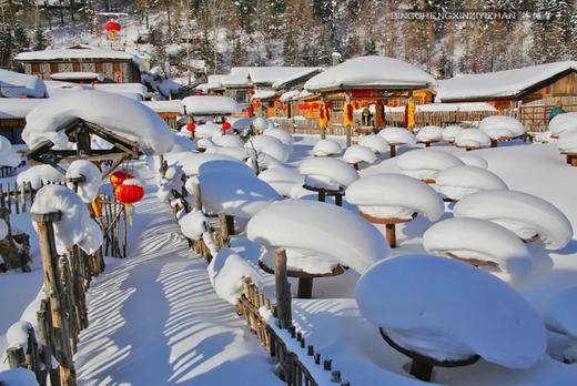 雪乡童话世界、查干湖冬捕、雾凇岛、镜泊湖冰瀑、东北虎雪地捕食7天摄影团 商品图12