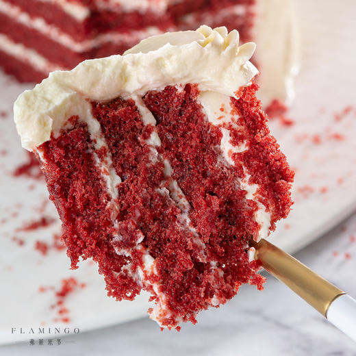 帕拉蒂丝| Paradis 商品图2