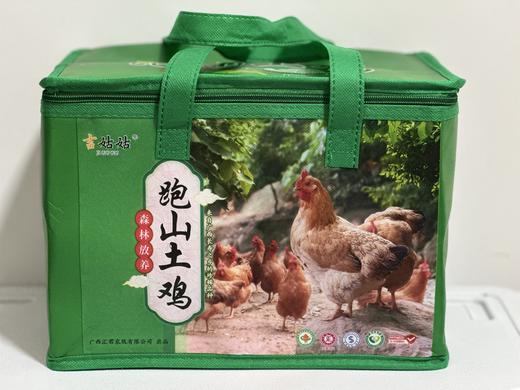 【A-005】【N】吉姑姑广西整鸡1只跑山黄油土鸡老母鸡广西十万大山放养月子鸡柴鸡新鲜现杀草鸡 商品图0