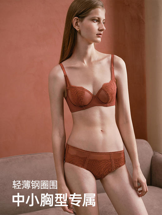 HSIA遐中小胸文胸法式阳台杯微聚拢防下垂性感镂空蕾丝薄款文胸 商品图1