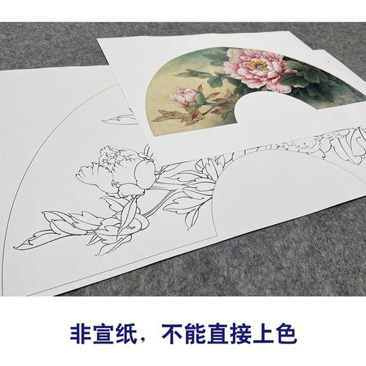 【大彩图】李晓明工笔画白描底稿扇面小品《赵粉》牡丹临摹勾线花鸟线稿K002 商品图2