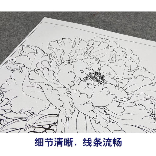 【大彩图】工笔画白描底稿小品《天香夜染衣》牡丹临摹勾线花鸟线稿K032 商品图4