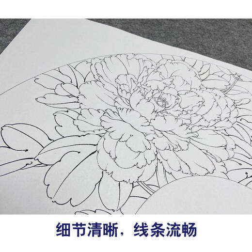 【大彩图】李晓明工笔画白描底稿扇面小品《胡红》牡丹临摹勾线花鸟线稿K004 商品图4