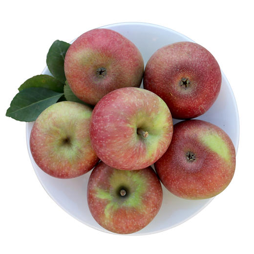 【包邮 密农特色 必买榜单】密农人家  国光苹果  密云山区种植  酸甜可口  3斤/6斤 商品图6