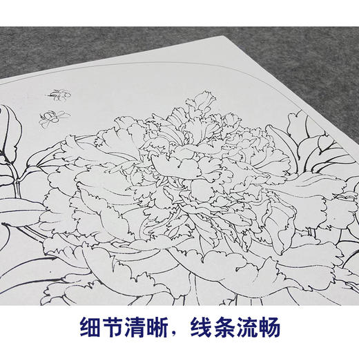 【大彩图】李晓明工笔画白描底稿小品《姚黄》牡丹临摹勾线花鸟线稿K011 商品图4