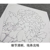 【大彩图】李晓明工笔画白描底稿宫扇《丹如火》牡丹临摹勾线花鸟线稿K008 商品缩略图4
