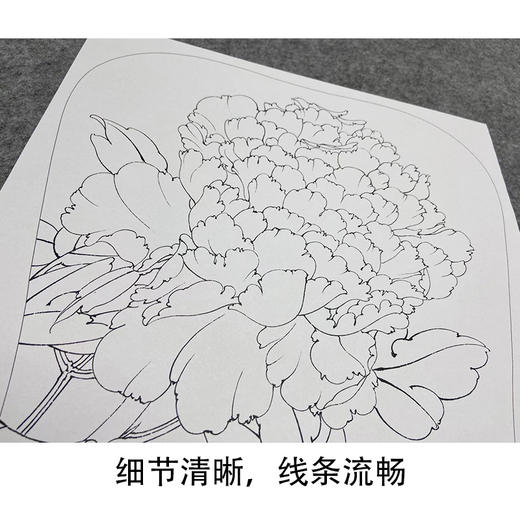 【大彩图】李晓明工笔画白描底稿宫扇《丹如火》牡丹临摹勾线花鸟线稿K008 商品图4
