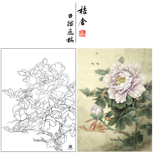【大彩图】工笔画白描底稿小品《碧空金星》牡丹临摹勾线花鸟线稿K027 商品图0