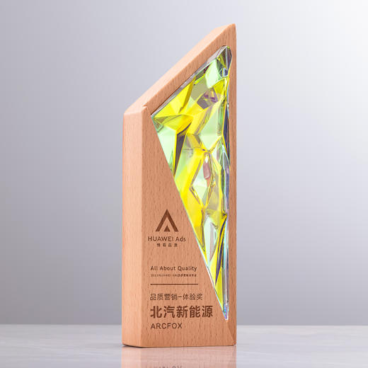 创意实木奖杯定制定做高档树脂奖牌纪念奖座企业颁奖优秀员工刻字 商品图4