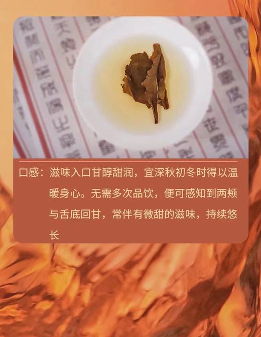 净斯-福鼎白茶三年陈韵234g礼盒 （6g*39包/盒） 商品图4