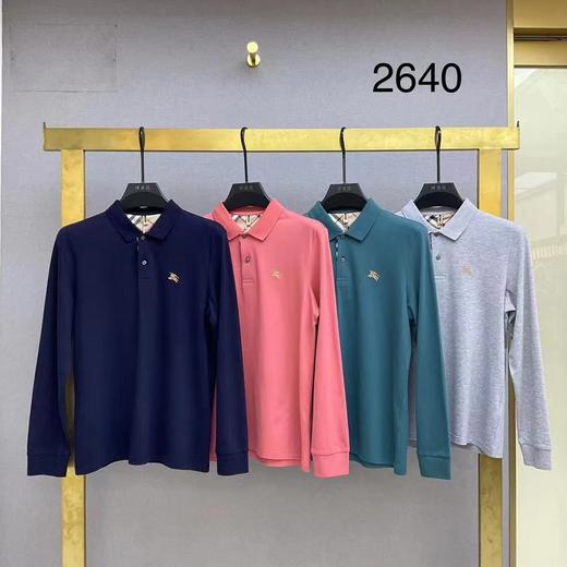男反领长T2640 商品图0
