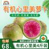 【基地直发】有机蔬菜心里美萝卜4斤/6斤/10斤装包邮 商品缩略图0