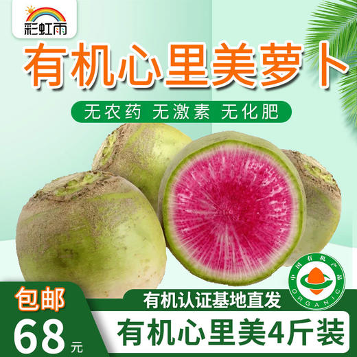 【基地直发】有机蔬菜心里美萝卜4斤/6斤/10斤装包邮 商品图0